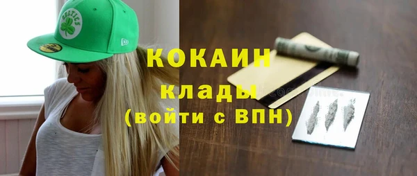 твердый Алексин